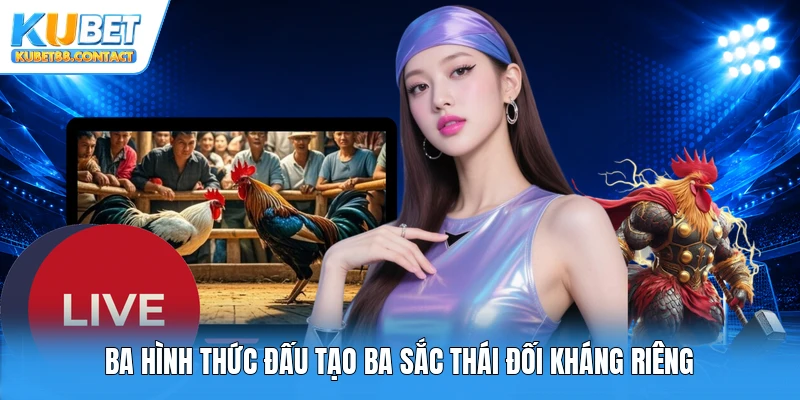 Ba hình thức đấu tạo ba sắc thái đối kháng riêng