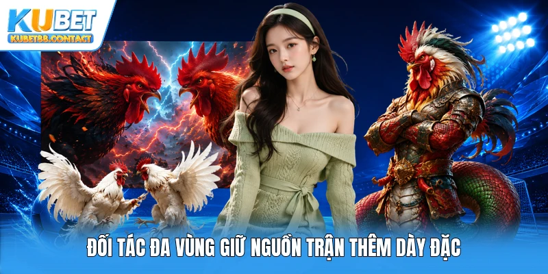 Đối tác đa vùng giữ nguồn trận thêm dày đặc