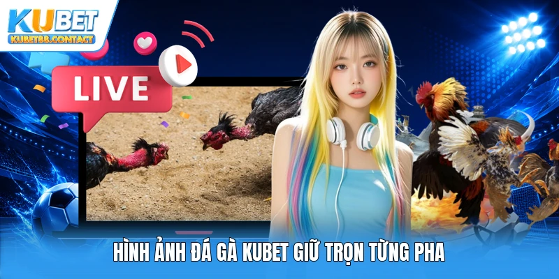 Hình ảnh đá gà Kubet giữ trọn từng pha